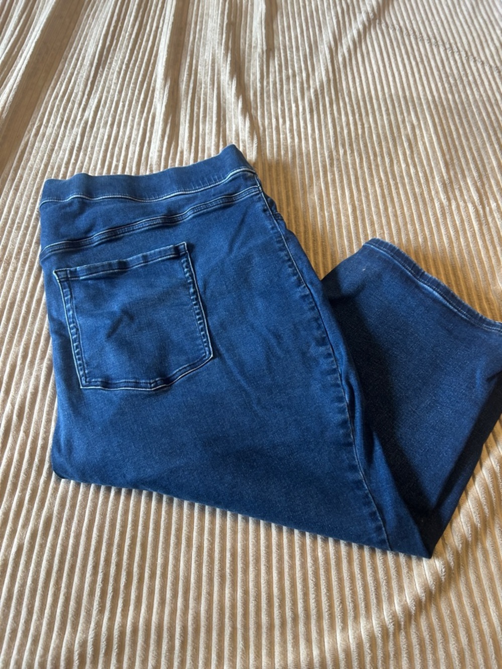 Lane Bryant Dark Blue Stretch Jeggings